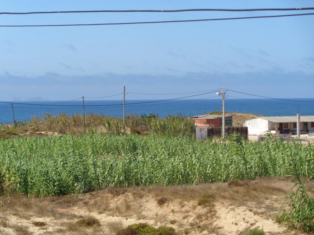 فيلا فيريلفي Sun House - Baleal المظهر الخارجي الصورة